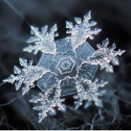 Snowflake