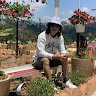 trần hoàng trí