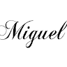 Miguel art