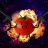 thetomato