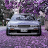 thehalfpro124