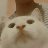 viana_16