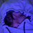 estefany_.vr