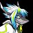 loshara_pidoras1488