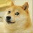 dogvne