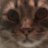 cryptid