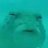 tenyu