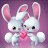 Noah_U