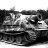 Olive527