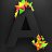 abhash
