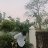 hrishi