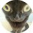 :Lizzielemon