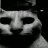 asjxzow|