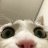 greetfella