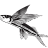 Acanthropagrus