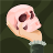 spiderkrauser
