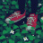 tokidoki_2001